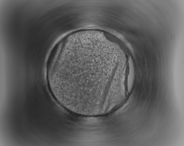 X0000096411424200802211215