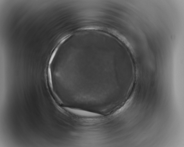 X0000096411425200802211215