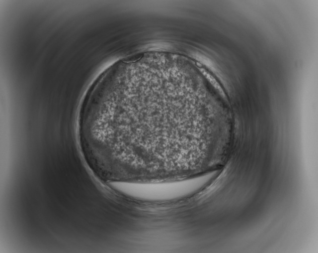 X0000096411426200802211215