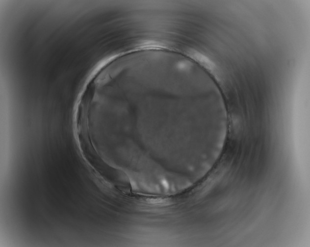 X0000096411427200802211215