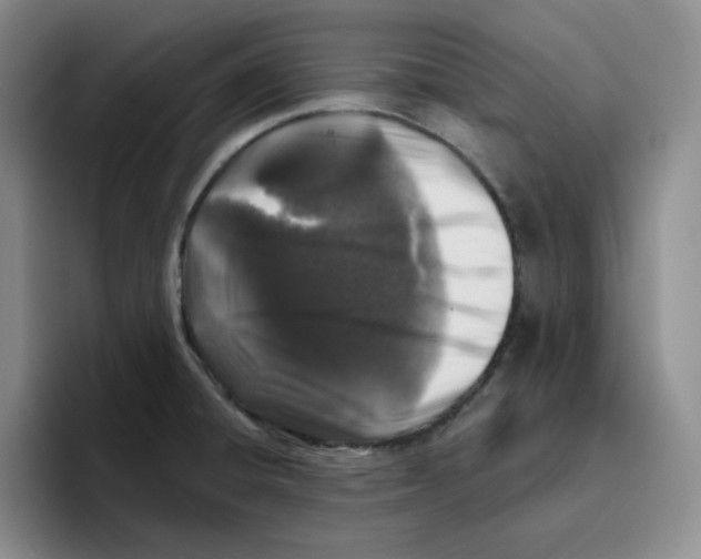 X0000096411428200802211215