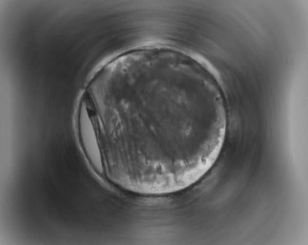 X0000096411429200802211215