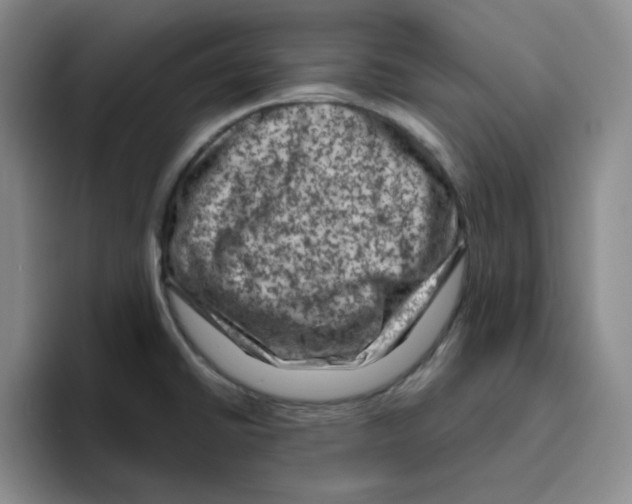 X0000096411430200802211215