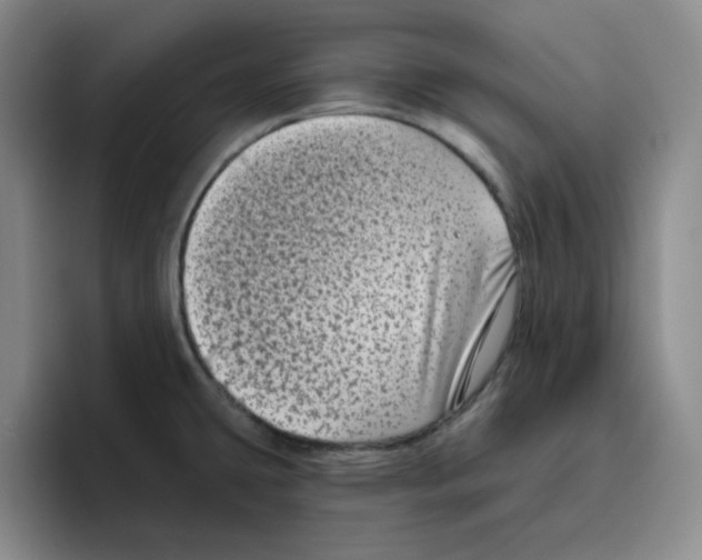 X0000096411431200802211215