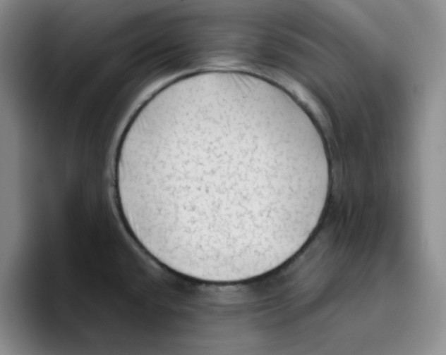 X0000096411432200802211215