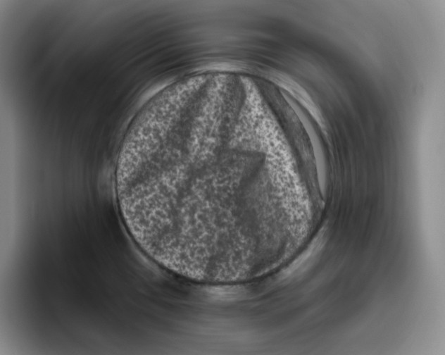 X0000096411433200802211215