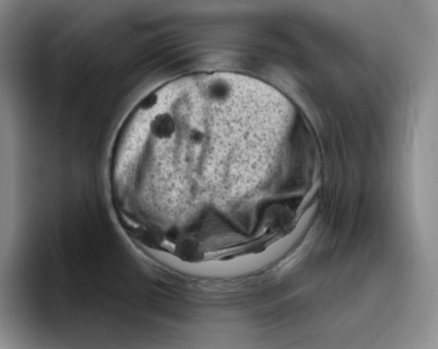 X0000096411434200802211216