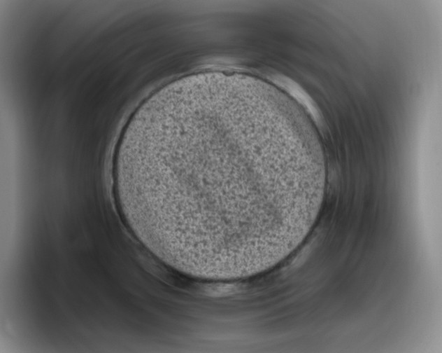 X0000096411435200802211216