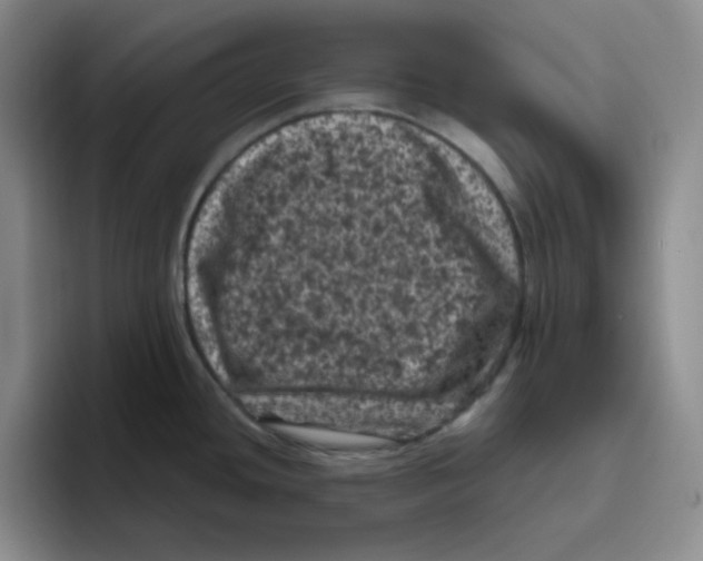 X0000096411436200802211216