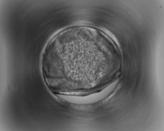 X0000096411437200802211216