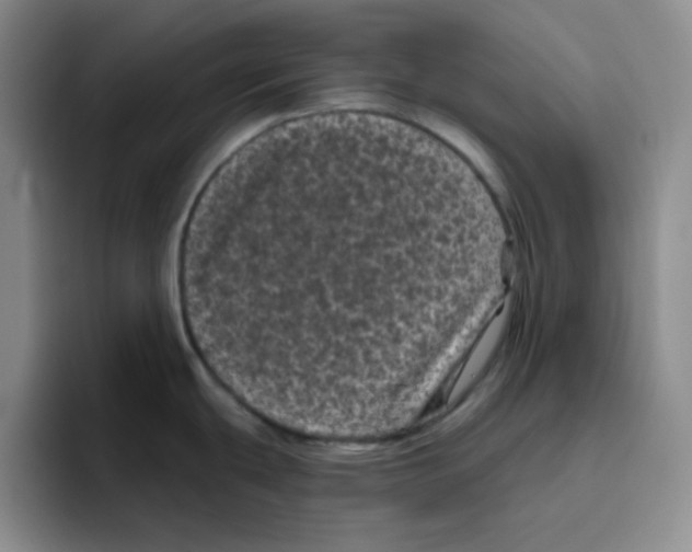 X0000096411439200802211216