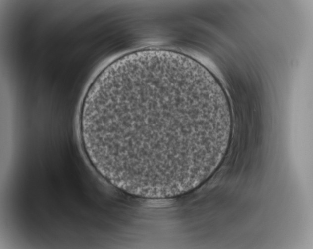 X0000096411440200802211216