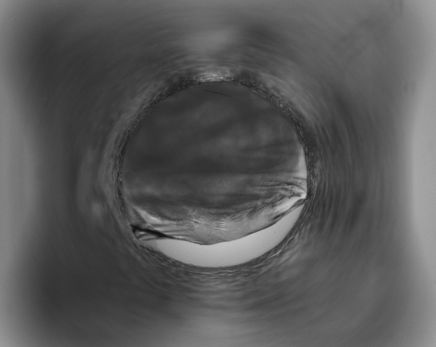 X0000096411441200802211215