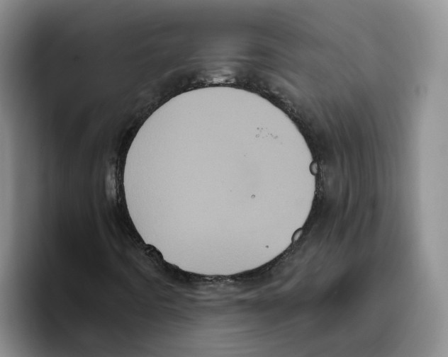 X0000096411442200802211215