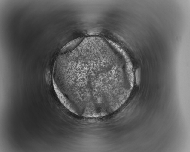 X0000096411443200802211215