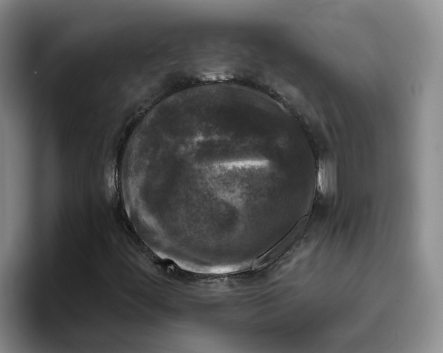 X0000096411444200802211215