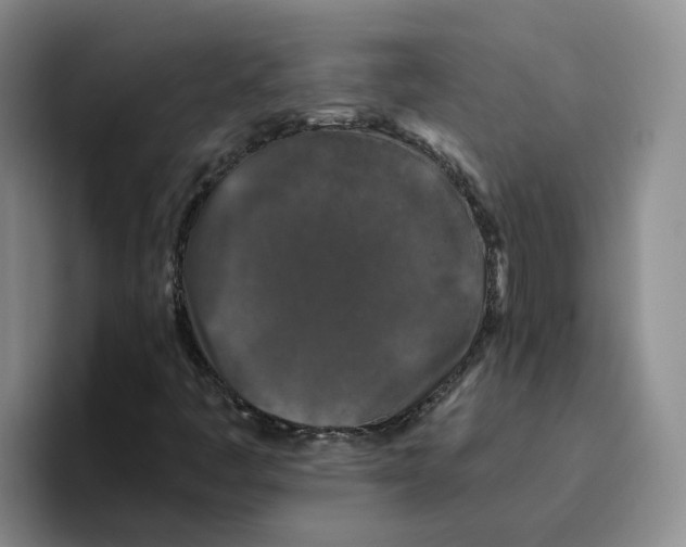 X0000096411445200802211215