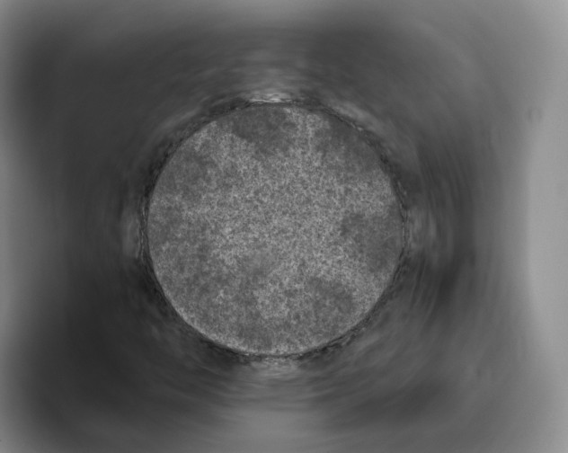 X0000096411446200802211215