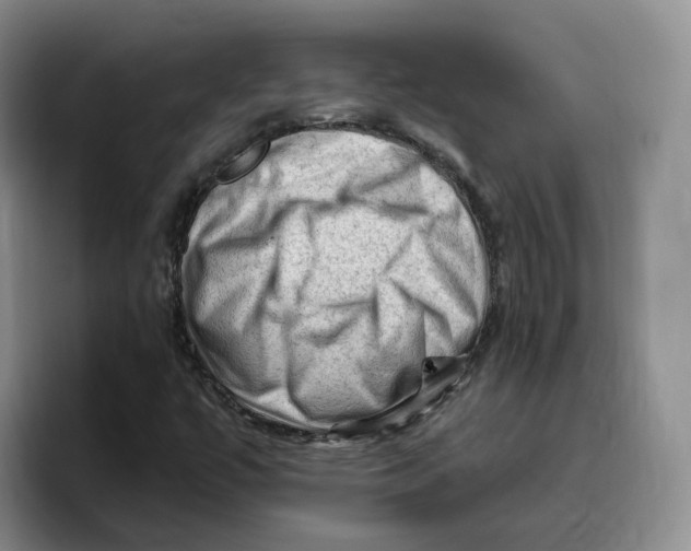 X0000096411447200802211215