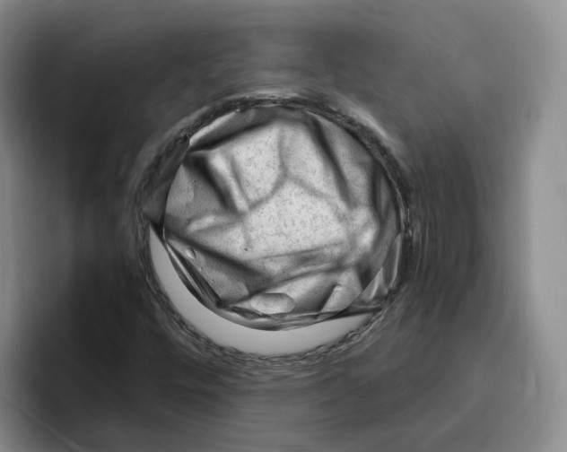 X0000096411448200802211215