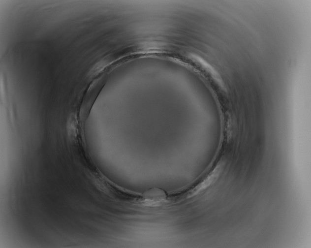 X0000096411449200802211215