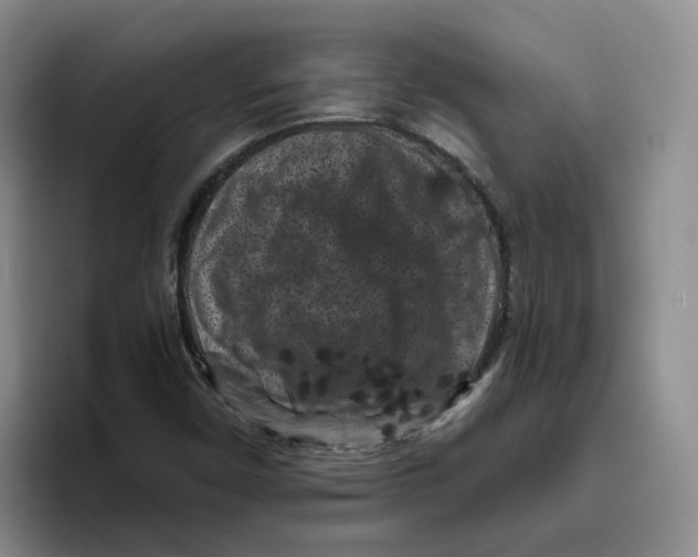 X0000096411450200802211215