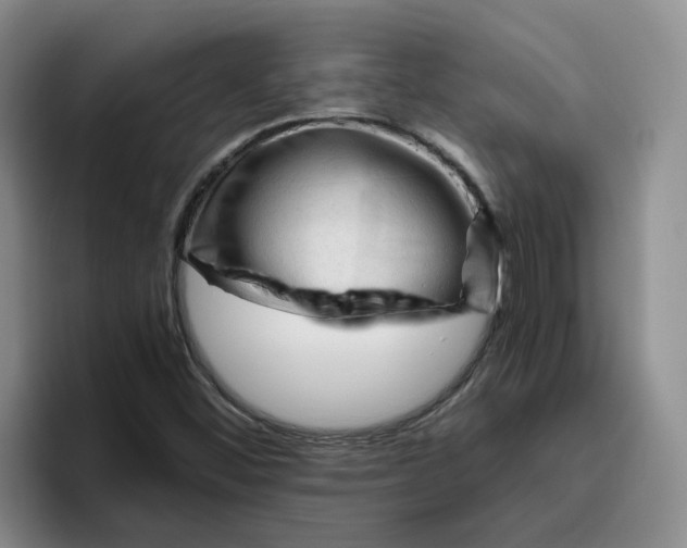 X0000096411452200802211215