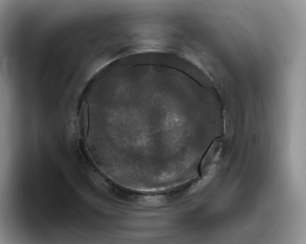 X0000096411453200802211215