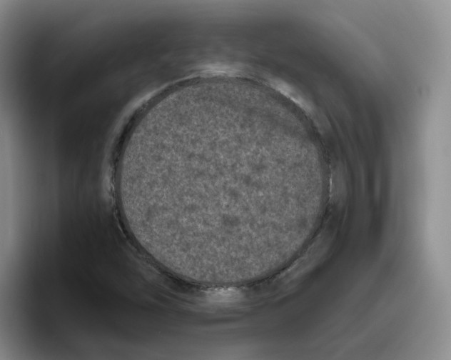 X0000096411454200802211215