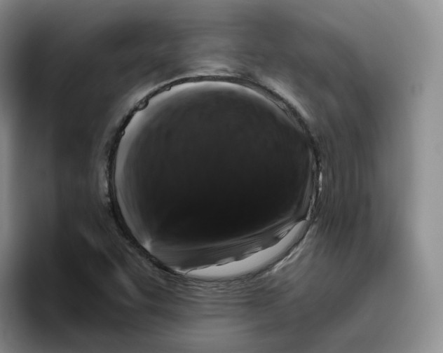X0000096411455200802211215