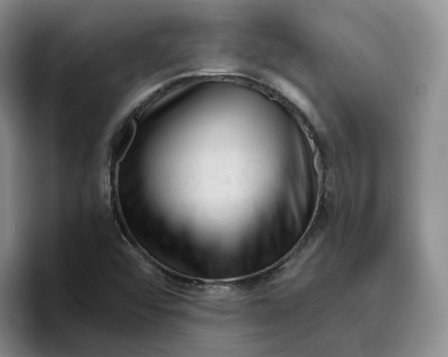 X0000096411456200802211215