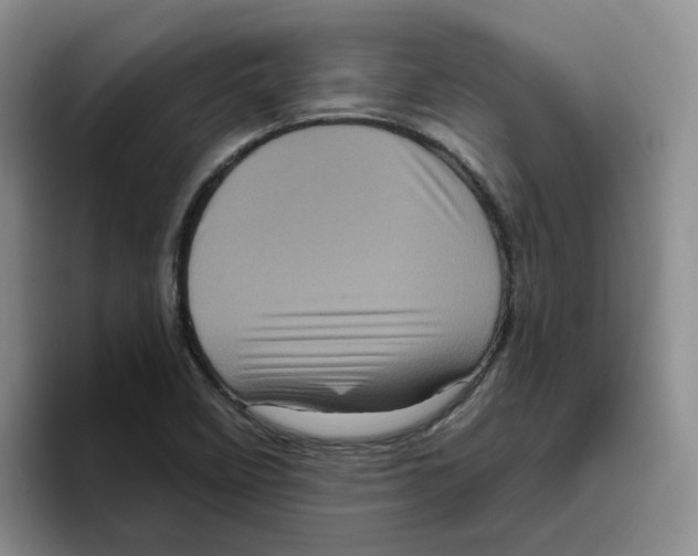 X0000096411458200802211215