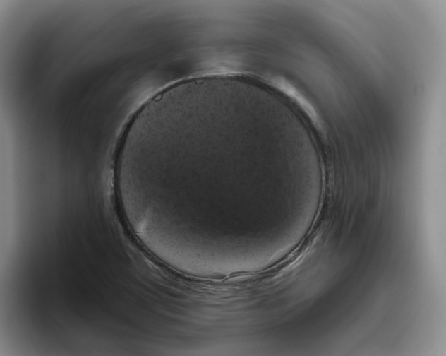 X0000096411459200802211215