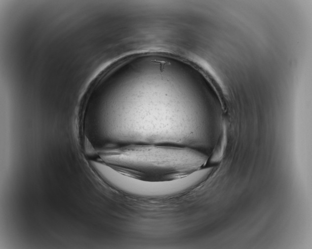 X0000096411460200802211215