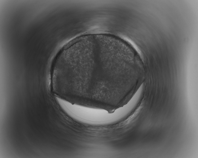 X0000096411461200802211215