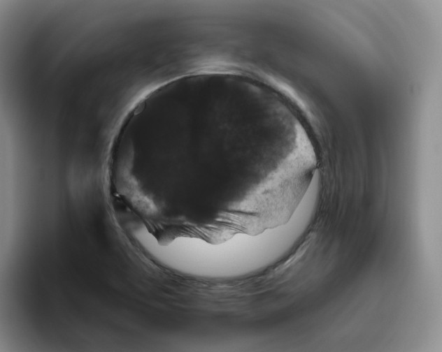 X0000096411463200802211215