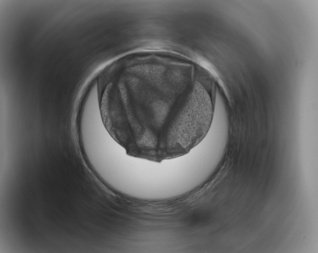 X0000096411464200802211215