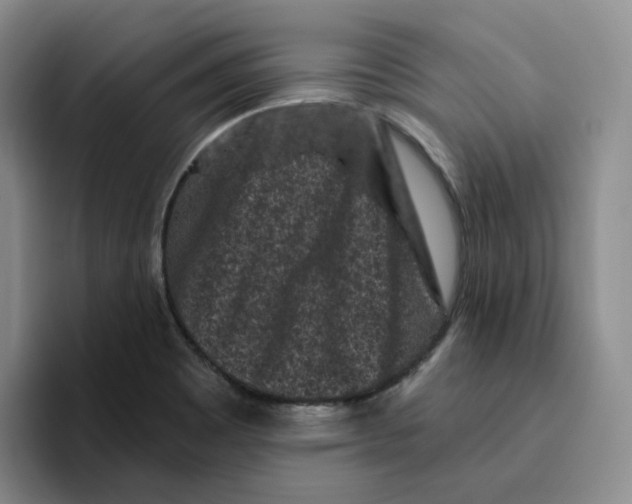 X0000096411465200802211215