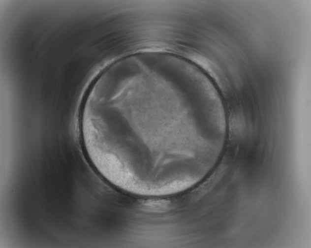 X0000096411466200802211215