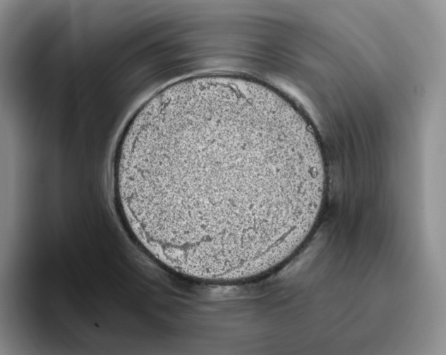 X0000096411467200802211215