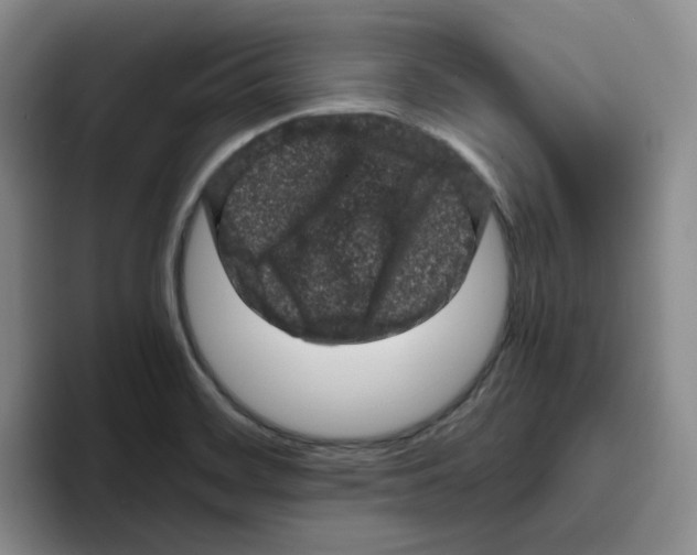 X0000096411468200802211215