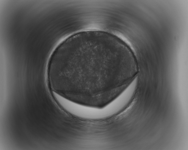 X0000096411469200802211215