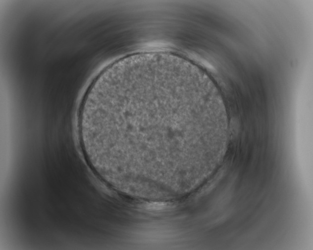 X0000096411470200802211214