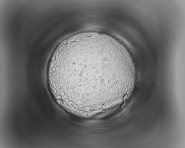 X0000096411471200802211214