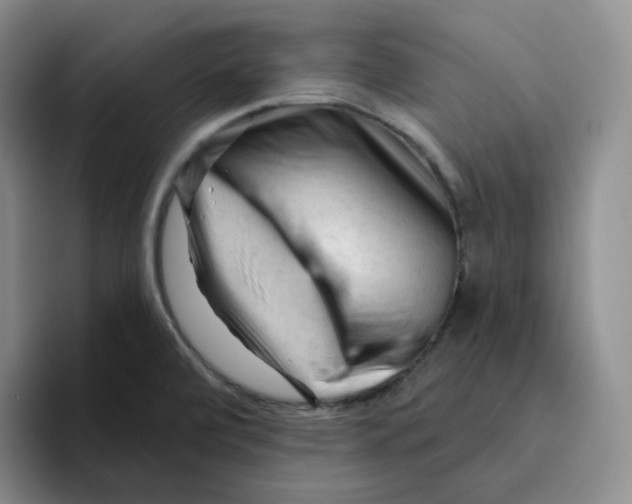 X0000096411472200802211214