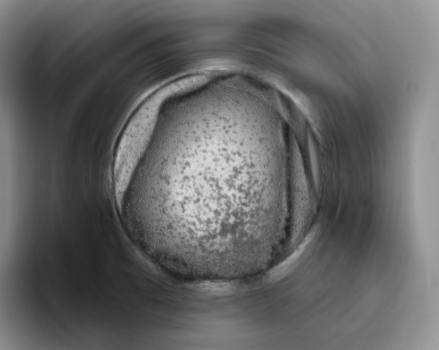 X0000096411473200802211214