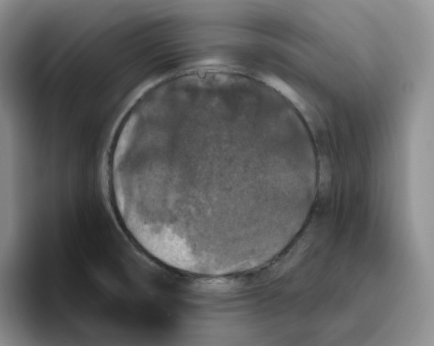 X0000096411474200802211214