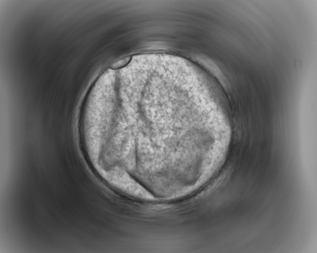 X0000096411475200802211214