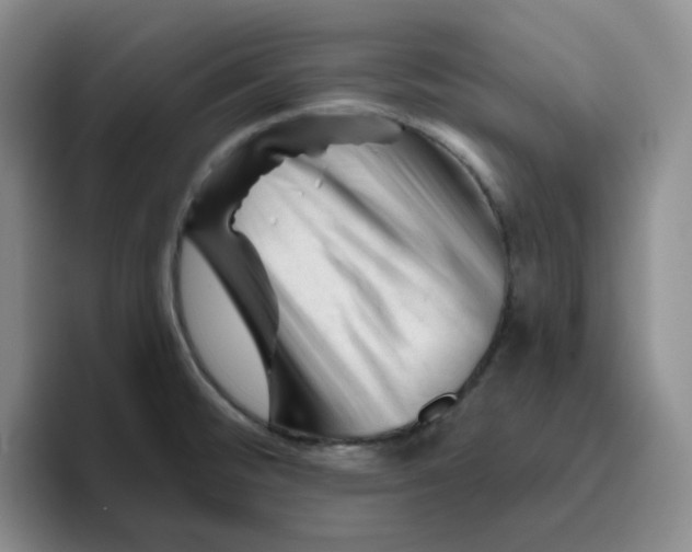 X0000096411476200802211214