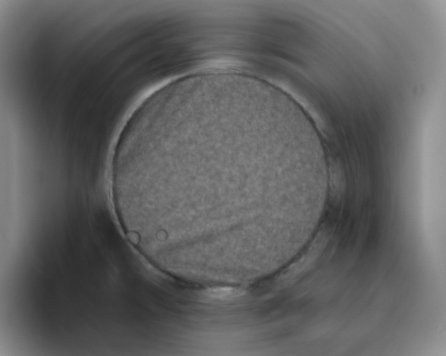 X0000096411478200802211214